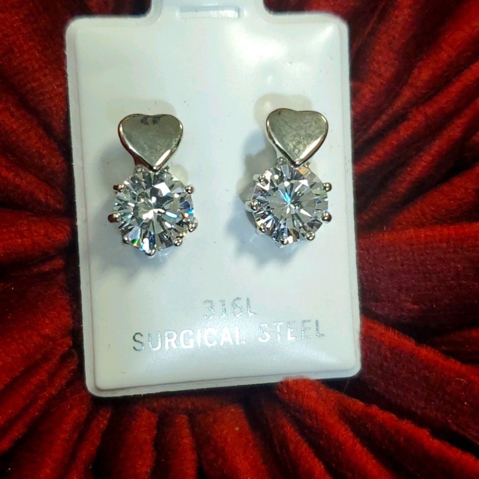 Surgical Steel Earrings